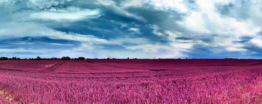 Beautiful and colorful fantasy landscape in an asian purple infrared photo style