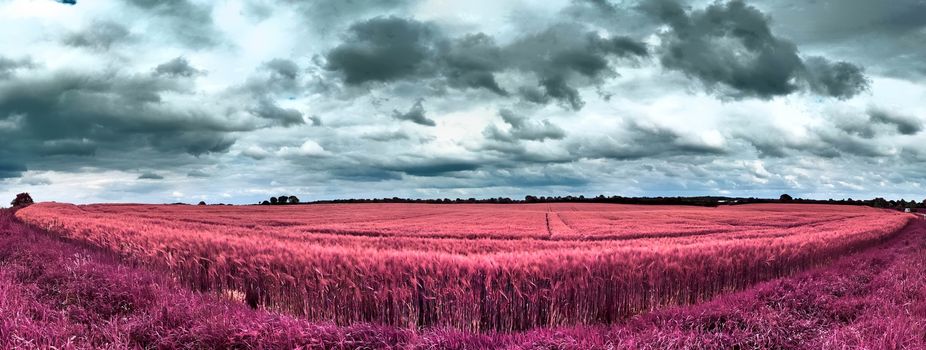 Beautiful and colorful fantasy landscape in an asian purple infrared photo style