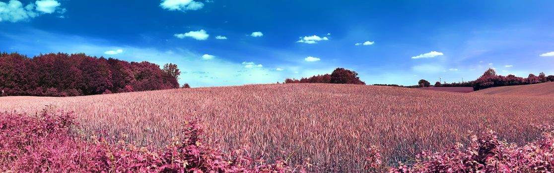 Beautiful and colorful fantasy landscape in an asian purple infrared photo style