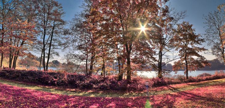 Beautiful and colorful fantasy landscape in an asian purple infrared photo style