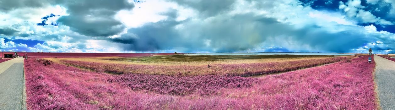 Beautiful and colorful fantasy landscape in an asian purple infrared photo style