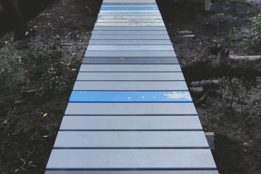 Cement bridge, natural mangrove forest path by the sea