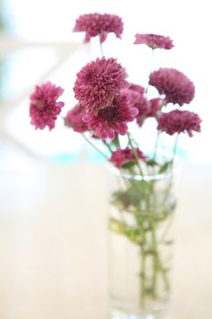 flower in jar