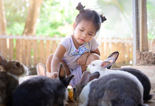 Cute little asian girl feeding rabbit on the farm