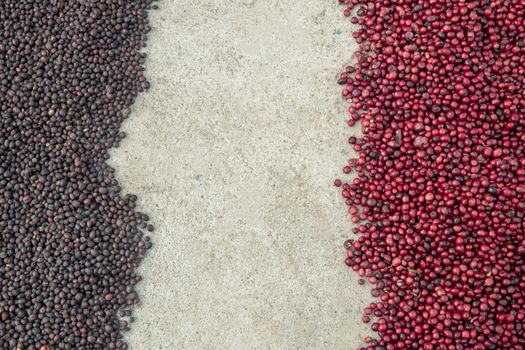 coffee beans berries drying natural process on the cement ground floor. Thailand