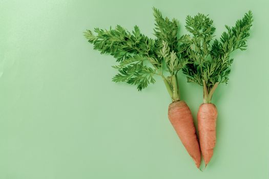 A few fresh carrots on green background. copy space. Summer vegan food concept.