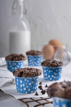 Delicious Mother's day Homemade chocolate cupcakes on Cooling Rack.