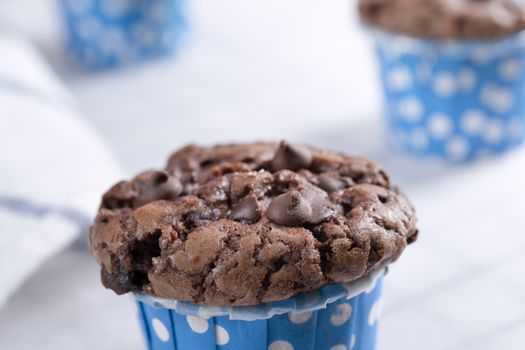 Delicious Mother's day Homemade chocolate cupcakes on Cooling Rack.