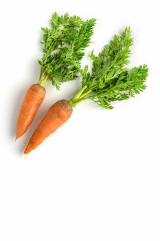 fresh orange carrot with green leaves isolated on white background.