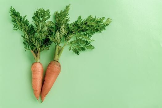 A few fresh carrots on green background. copy space. Summer vegan food concept.