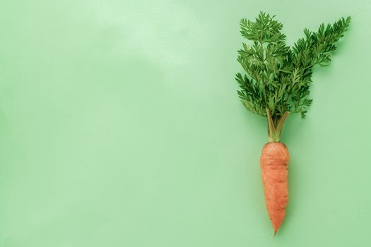 A few fresh carrots on green background. copy space. Summer vegan food concept.