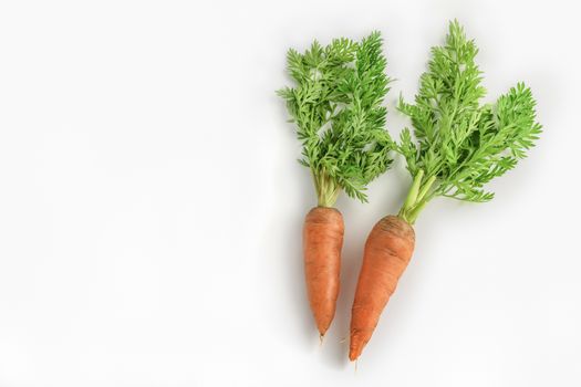 fresh orange carrot with green leaves isolated on white background.