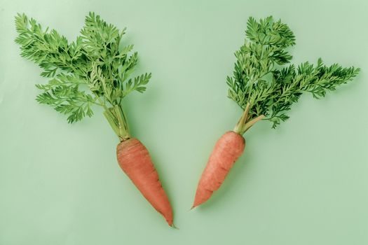 A few fresh carrots on green background. copy space. Summer vegan food concept.