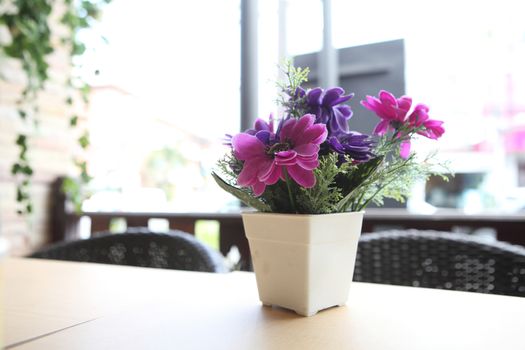 flower in jar