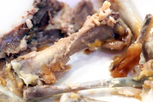 leftovers food chicken bone, waste food, chicken bone from eating, fried chicken bone waste food (selective focus)