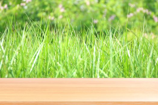 wood plank on blurred bokeh soft grass nature background, empty wood table floors on bokeh of dew grass natural green, wood table board empty front background grass abstract light green