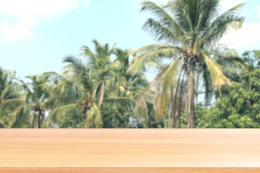 wood plank on coconut tree rows background blurred, empty wood table floors on coconut tree picture blur, wood table board empty front background coconut plantation nature for mock up display products
