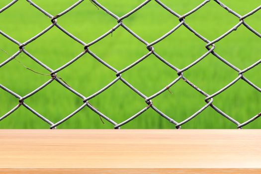 wood plank on wire metal netting background, empty wood table floors on rusty barbed wire detention center security, wood table board empty front chain link fence close up on green nature background