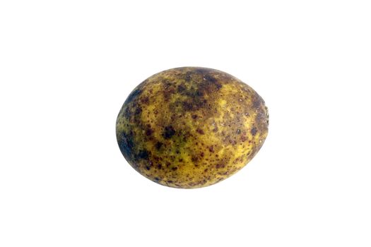 Hog Plum Spondias pinnata Forest fruit (Makok thai word) isolated on white background closeup