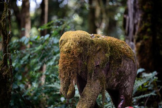 Moss covered Elephant statue stone (animal sculpture)