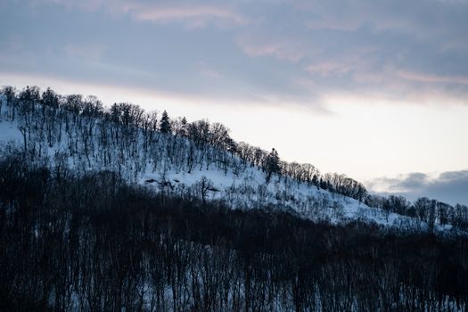 Snow covered trees on winter snow mountains. Winter snow mountain forest landscape.