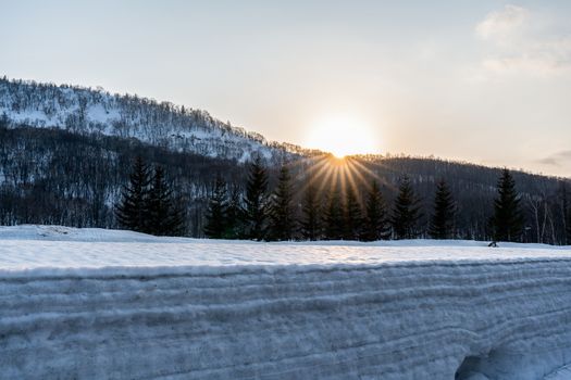 Winter landscape of a mountain forest covered with snow at sunrise.