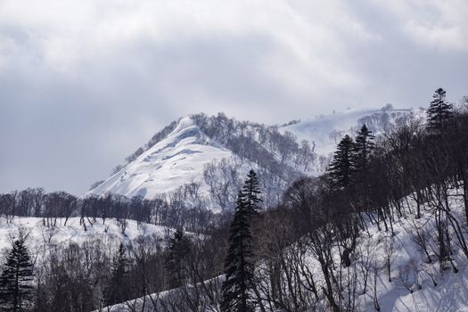 Snow covered trees on winter snow mountains. Winter snow mountain forest landscape.