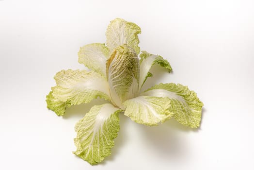 Beijing cabbage on an isolated white background with copy space