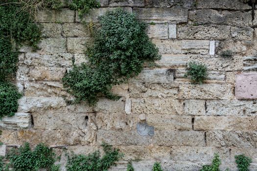 Old rough rock bricks wall grown with grass texture background.