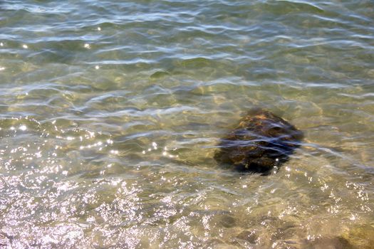 Crystal clear sea water and superb clean, See rocks on the bottom of the sea nature ocean, under water in beach clear and clean, Winter sea with travel tropical or summer holiday