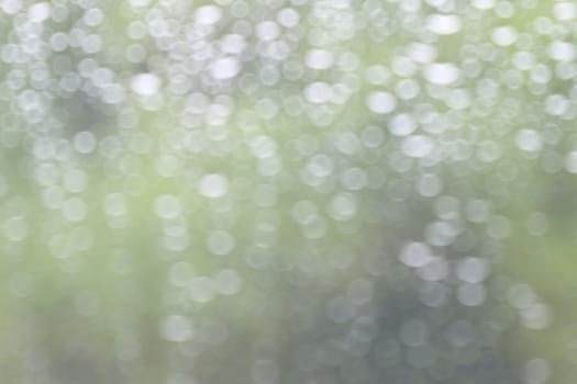 rain, nature bokeh light tree green soft background