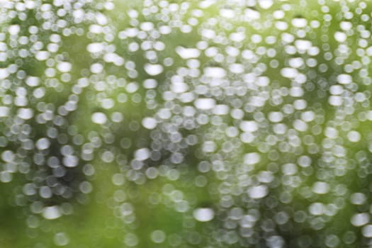 rain, nature bokeh light tree green soft background