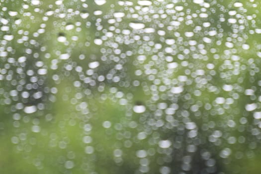 rain, nature bokeh light tree green soft background