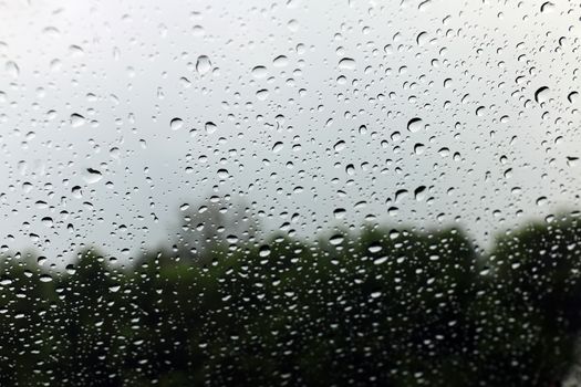 rain, nature bokeh light tree green soft background