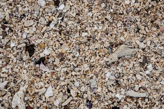 Closeup of white coral beach.