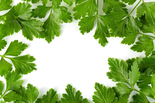 Bunch leaves parsley isolated on white background