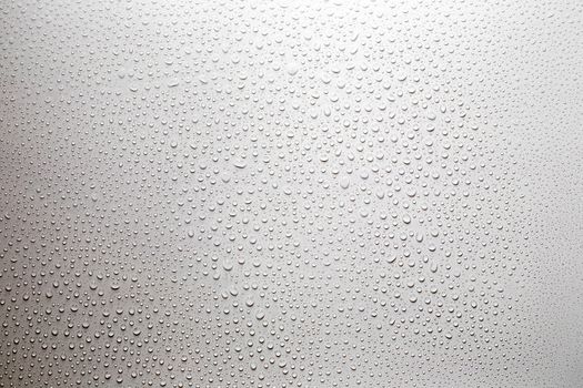 Rain or Water drops on white background.