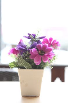 flower in jar