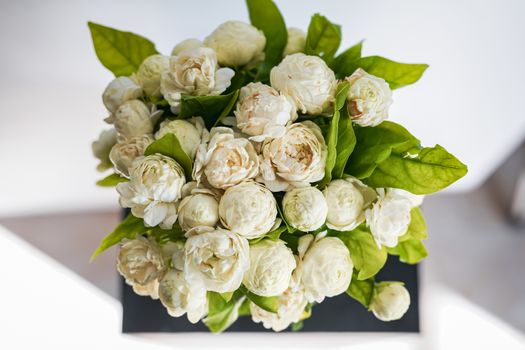 Photos of white jasmine bouquet from above and shadowed background from sunlight.