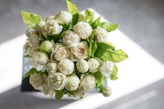 Photos of white jasmine bouquet from above and shadowed background from sunlight.