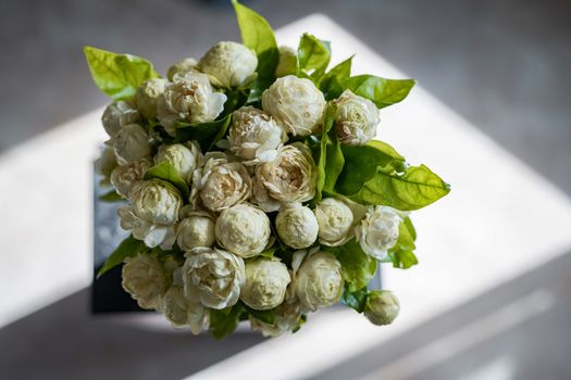 Photos of white jasmine bouquet from above and shadowed background from sunlight.