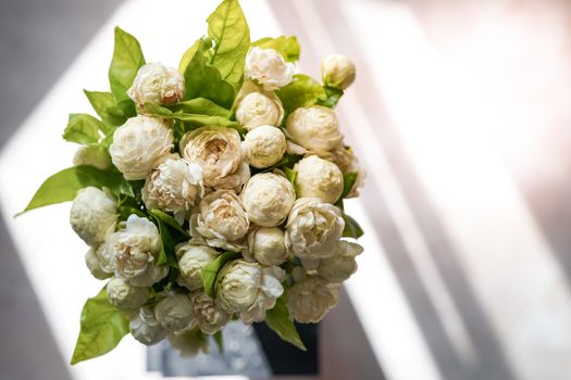 Photos of white jasmine bouquet from above and shadowed background from sunlight.