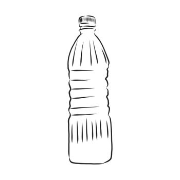 Vector Single Sketch Plastic Bottle of Water