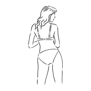 beautiful woman bodies in bikini vector illustration eps 10
