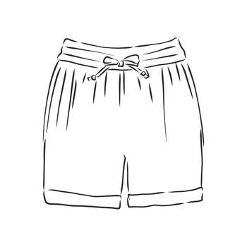 Vector illustration of shorts. Casual clothes