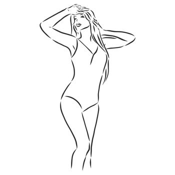 beautiful woman bodies in bikini vector illustration eps 10