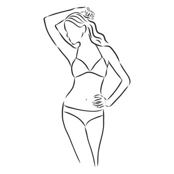 beautiful woman bodies in bikini vector illustration eps 10