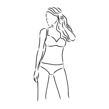 beautiful woman bodies in bikini vector illustration eps 10
