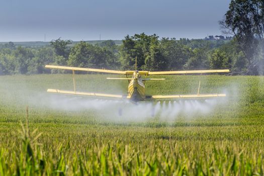 A crop duster applies chemicals to a field of vegetation.