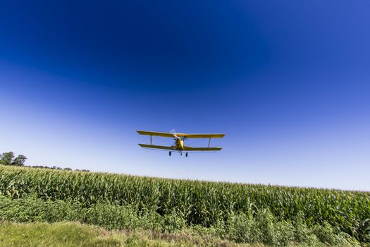 A crop duster applies chemicals to a field of vegetation.